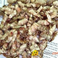 OFFER Shrimp shell meal.pls contact me via SKYPE: smithnguyen1