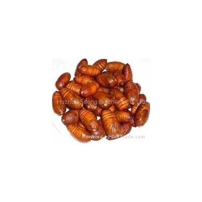 Silkworm Pupa Protein Powderpicture1