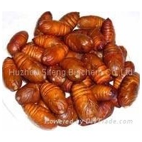 Silkworm Pupa Protein Powder