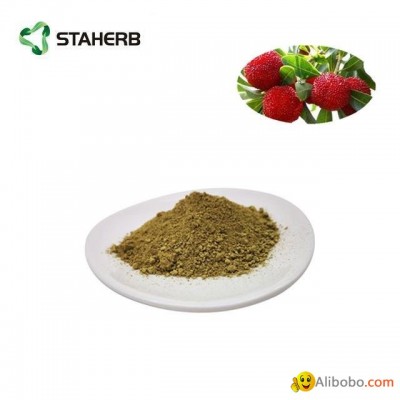 bayberry bark extract myricetin 98%picture1