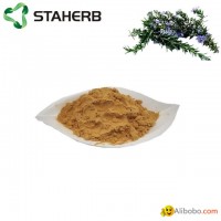 Rosemary extract carnosic acid 20%