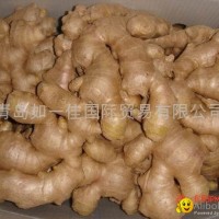 2023 NEW FRESH AIR DRIED GINGER