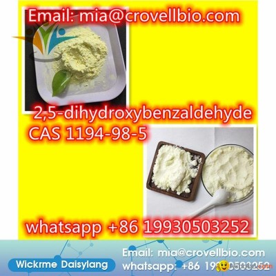 factory sell chemicals 2,5-dihydroxybenzaldehyde CAS 1194-98-5 supplier in Chinapicture1