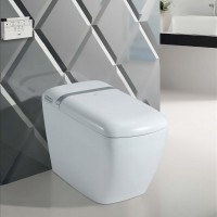 One piece Intelligent Smart Toilet with warm seat auto open and close