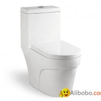 Siphonic One-piece Toilet