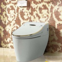 Golden luxurious stable performance multifunction intelligent smart toilet