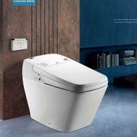 One Piece  Smart lavatory nightstool ,Intelligent commode closestool