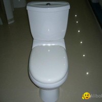 TWO PIECE TOILET