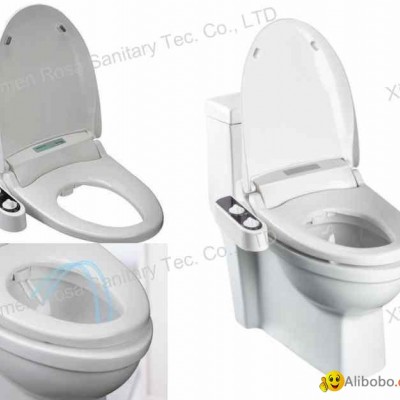 toilet seat bidet,bidetpicture1