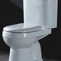 Washdown Two-piece Toilet-9708