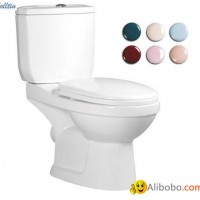 HT215 Washdown Two Piece WC Closet Color For Choose Toilet