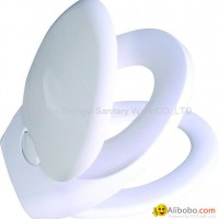 Duroplast toilet seat