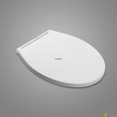 Slim universal round toilet seatpicture1