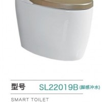 sell smart toilet ----Feeling flush