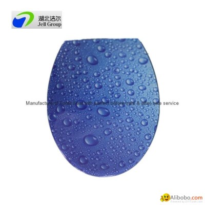 Water spray toilet seat with soft close hingespicture1