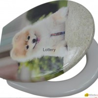 Two Pieces Sanitary Ware Printed Toilet Seat