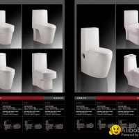 Siphon One piece TOILET