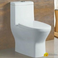 Sanitary ware auto cleaning toilet seat luxury neorest toilet