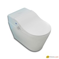 Smart toilet