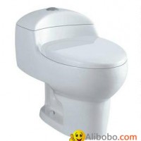 Promotional Siphonic One Piece Toilet S-trap 300mm OT-8118