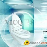 Hygienic Toilet Seat (VC-A1)