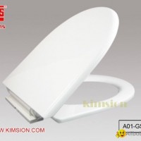 A01-GS18 "Galaxy" Plastic Soft Close Toilet Seat and Cover