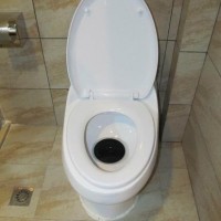 electric toilet