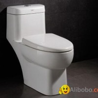 one-piece toilet