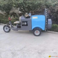 Miniature Orchard Sprayer Riding type Sprayer air-assisted Medicine Cart