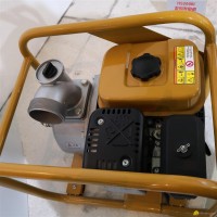 Gasoline engine water pump