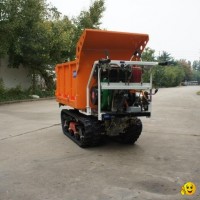 heavy-duty diesel engine crawler truck dumper