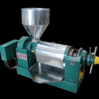 Automatic moringa seed oil extraction machine mini oil press for sale