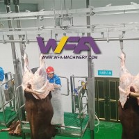 Bleeding conveyor cow slaughter machine