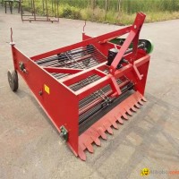 Potato harvester planter