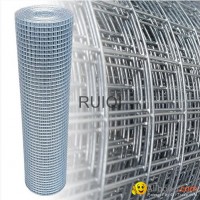 Galvanized Square Welded Wire Mesh Roll