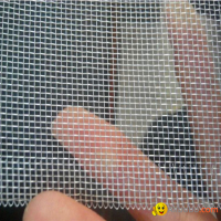 Aluminum Insect Screen Mesh Roll