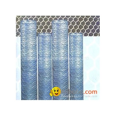 GALVANIZED HEXAGONAL IRON WIRE & SQUARE MESHESpicture1