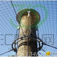 SW17 aviary mesh,stainless steel cable mesh, bird netting,balustrade fencing