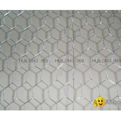 hexagonal wire mesh From tianjin portpicture1