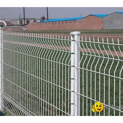 High quality cheap wire mesh fence  3DCurved wire mesh factorypicture1