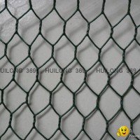 Well-know hexagonal wire mesh