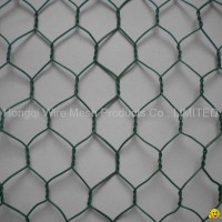 202 s.s hexagonal wire mesh