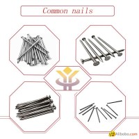 Common nail 1inch-6inch high quality low price (factory)