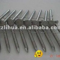 Stainless Steel Coil Nail