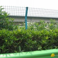 garden fence