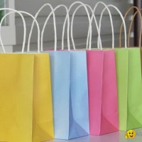 2015 New Cheap Paper Bag Printing Service