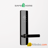 SH301-CBP Security Access Control Smart Door Lock for Apartment