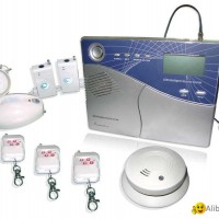 Sell Luxury Voiced GSM LCD Alarm with SMS Remote control (WLY-GSM-LCD):Alarm