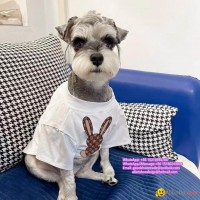 dog tshirt pet clothes dog shirts cat tshirt pet tshirt Pet Sweater Dog Raincoat