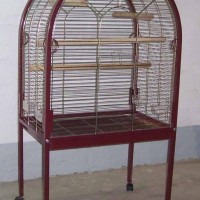 Parrot Cage